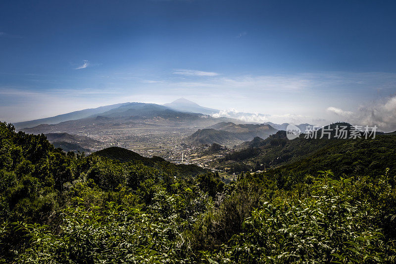 从美丽的Pico del Ingles over Anaga, La pina, Esperanza Forest (Bosque de Esperanza)和Cumbre Dorsa toward Pico de Esperanza, Tenerife, Canary Islands，西班牙
